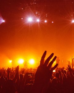 Audience at a live music concert