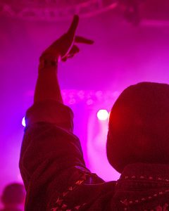 Concert Audience